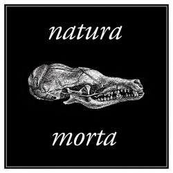 Pexeso – Natura morta