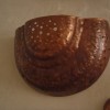 choroš - šířka 45 cm