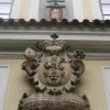 Socha řasy Scenedesmus