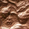 Herman - detail