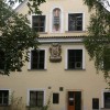 Socha řasy Scenedesmus