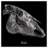 Pexeso - Kůn - Equus